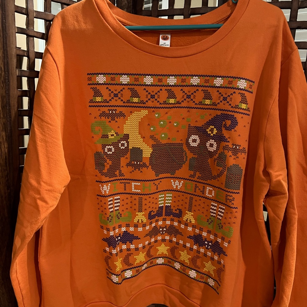 Fall Halloween sweatshirt; goes with a variety of fall colors, soft & comforta…